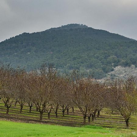 Pearl Of The Valley Hotel Kfar Tavor Zewnętrze zdjęcie
