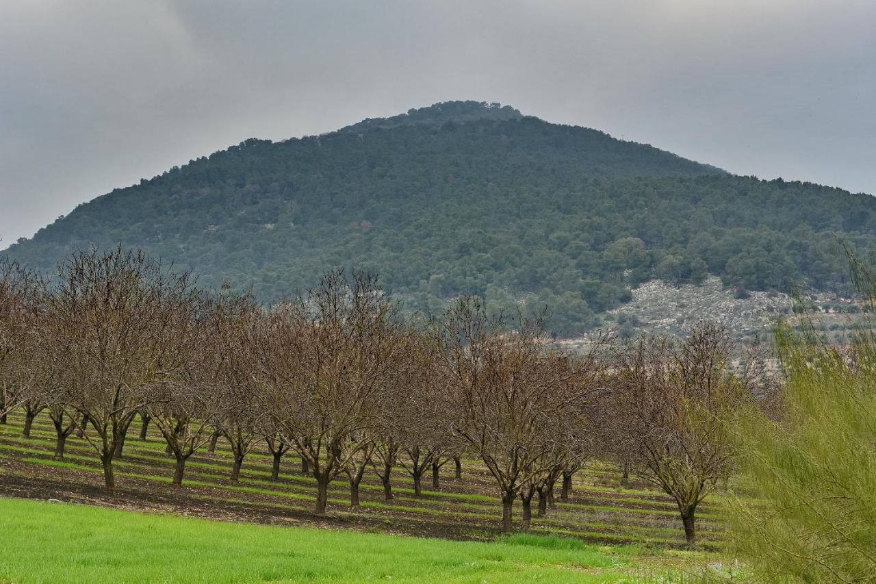 Pearl Of The Valley Hotel Kfar Tavor Zewnętrze zdjęcie
