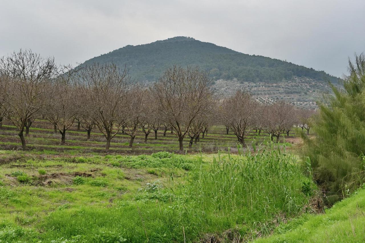Pearl Of The Valley Hotel Kfar Tavor Zewnętrze zdjęcie